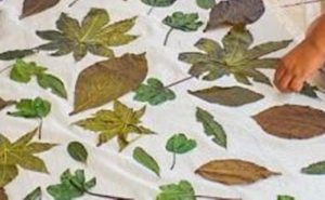 ecoprint