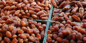 kurma
