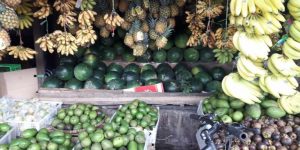 Buah-buahan siap konsumsi
