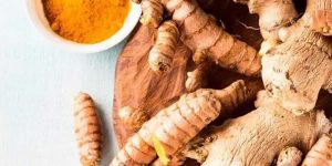 Bahan herbal siap olah