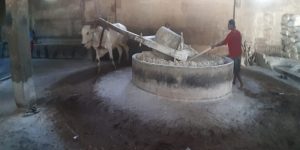 Proses produksi mie