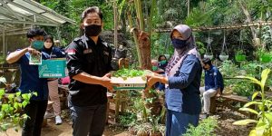 Serahkan bibit bantuan