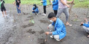 penanaman mangrove pada daerah kawasan eco wisata magrove Baros