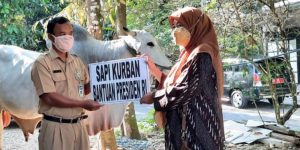 bantuan hewan kurban dari presiden