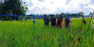 Peksi Repellent Machine, Alat Pengusir Burung