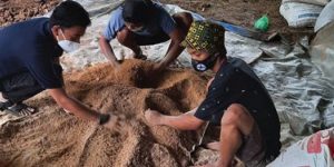 Tumbuhkan Pemuda Peternak, Dinisiasi Ayo Angon