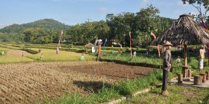 Nilai Kearifan Lokal Dalam Memedi Sawah