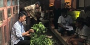 KKN UMBY Latih “Sri Widodo“ Buat Kompos Daun Siam