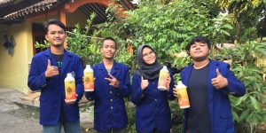 Air Limbah Lele Sebagai Pupuk Alami Tabulampot