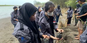 BEM FE UMBY Tanam Pohon Mangrove di Pantai Baros  