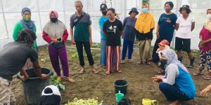 Ormawa UMBY Beri Pelatihan Pembuatan Pupuk Organik Cair di Tirtohargo