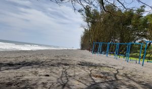 Pantai Goa Cemara, Suguhan View Pohon Cemara yang Memesona