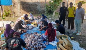Idul Adha 1444 H, UMBY Sembelih 6 Ekor Sapi Kurban