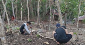 Tim PPK Ormawa BEM FAI UMBY Buat Kebun Edukasi di Argorejo