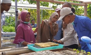 Pengolahan Sampah Organik Dapur Perlu Terintegrasi  