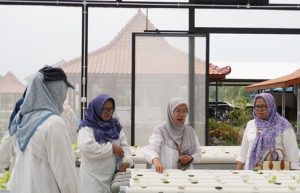 Farmer Goes to Campus, Kelompok Tani Kota Yogya Jadi Mahasiswa Sehari di UMBY